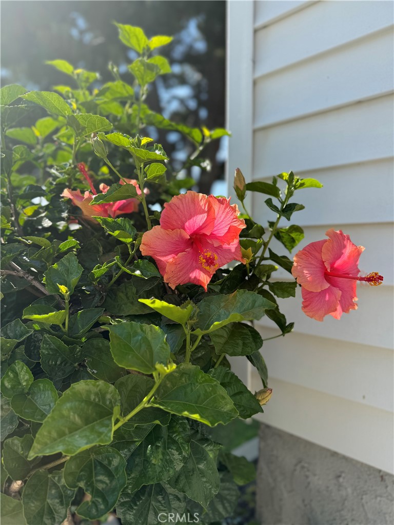 13792 Figueroa Street Garden Grove, CA 92843 - Photo 36 of 38