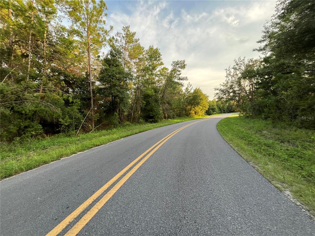 Tbd Twin Lakes Road Interlachen, FL 32148 - Photo 4 of 9