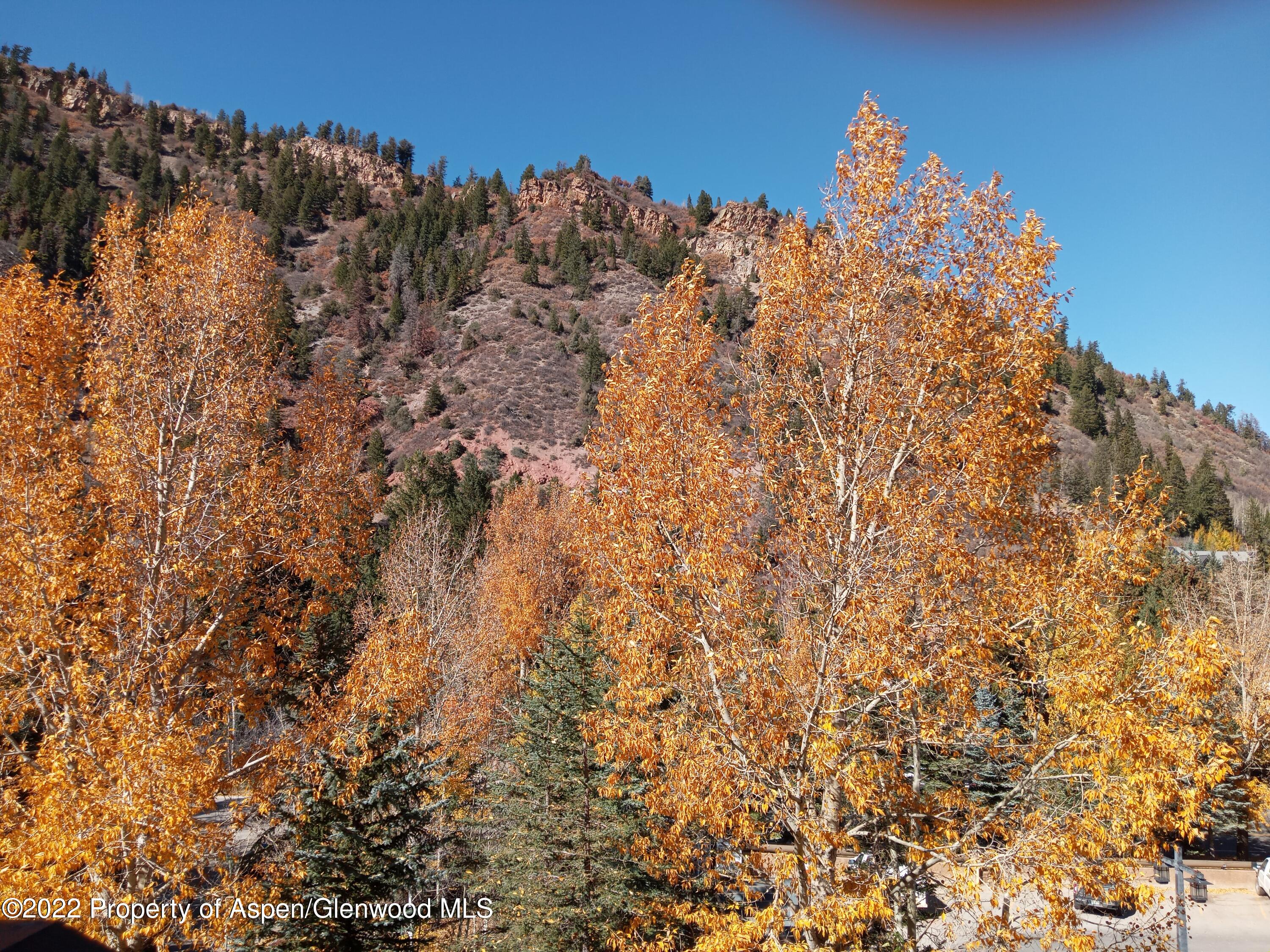 39 Boomerang Road, Unit 8216 SUMMER INTEREST 8 Aspen, CO 81611 - Photo 23 of 27 20221021_134441