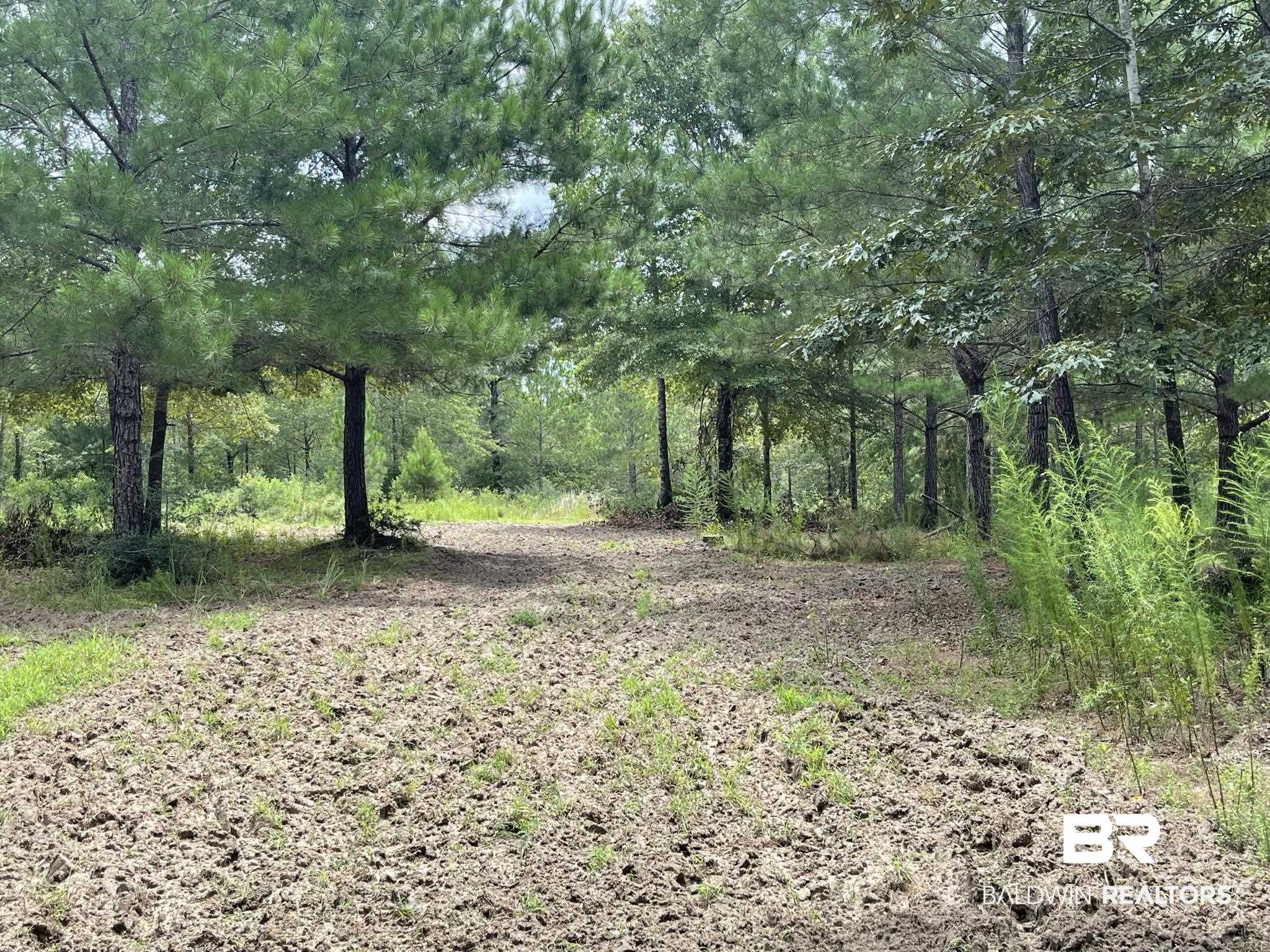 0 County Road 11 Wing, AL 36483 - Photo 30 of 37