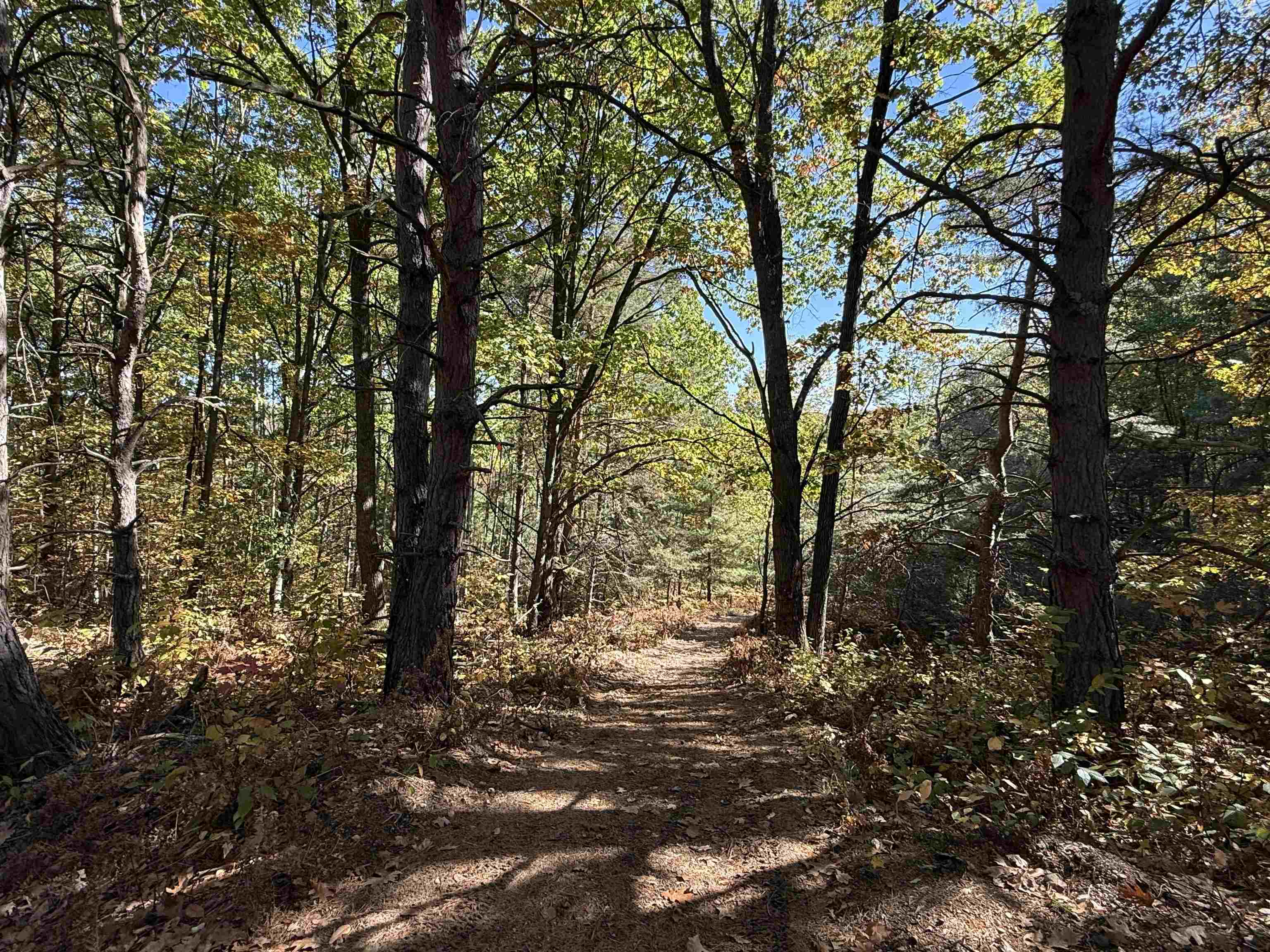 4273 North Dickerson Road Manton, MI 49663 - Photo 10 of 13
