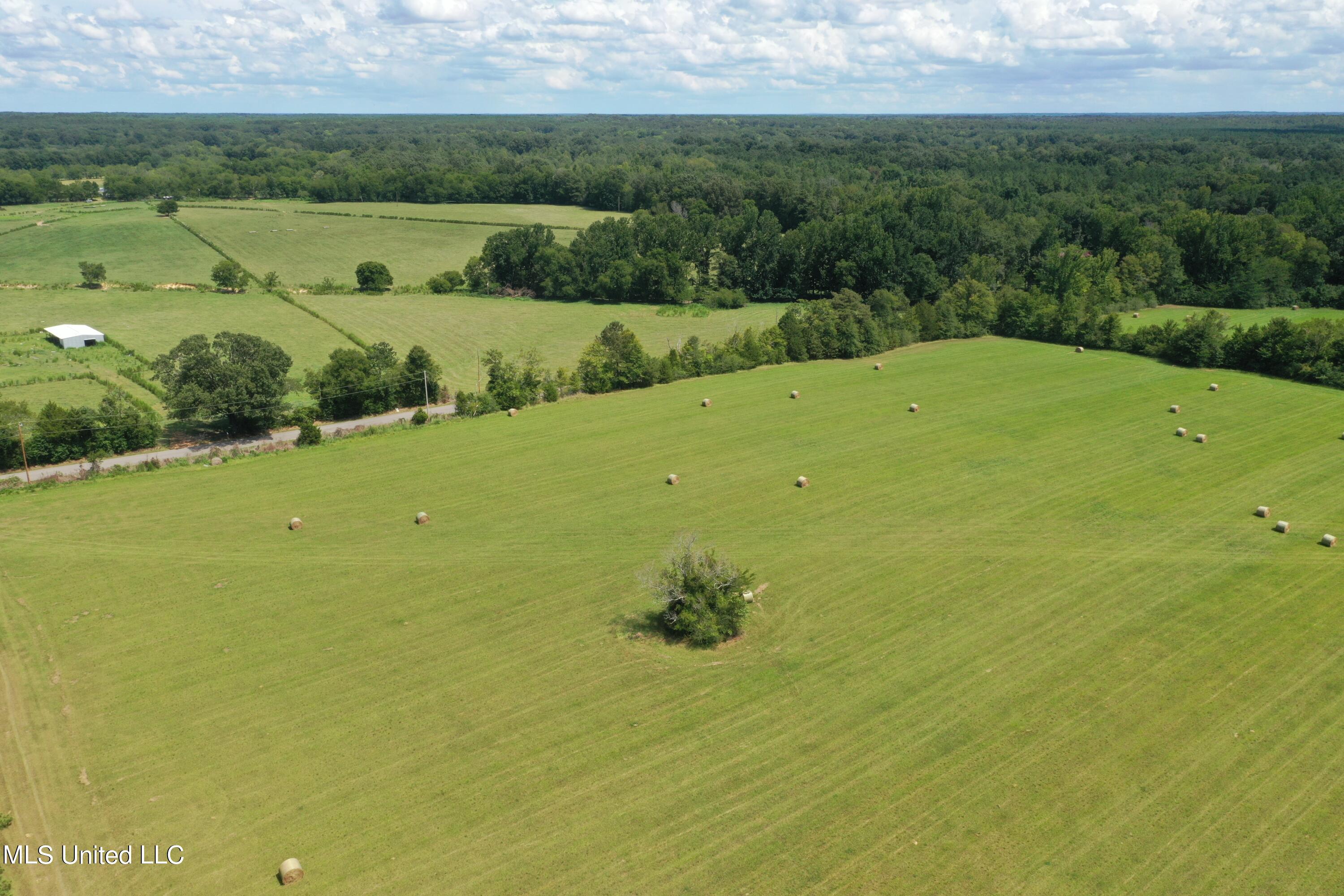 Sharon Rd Road Canton, MS 39046 - Photo 3 of 5 DJI_0360