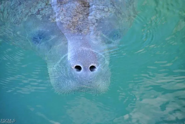 a view of a dry yard