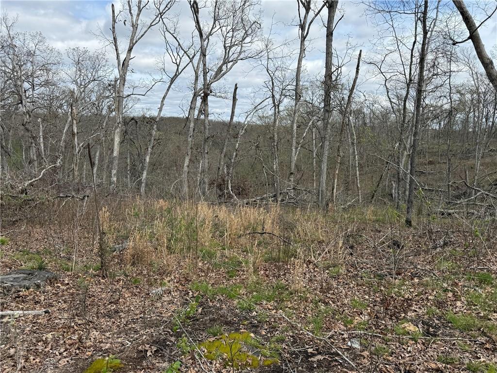 991 Southeast 976 Road Deepwater, MO 64740 - Photo 35 of 79