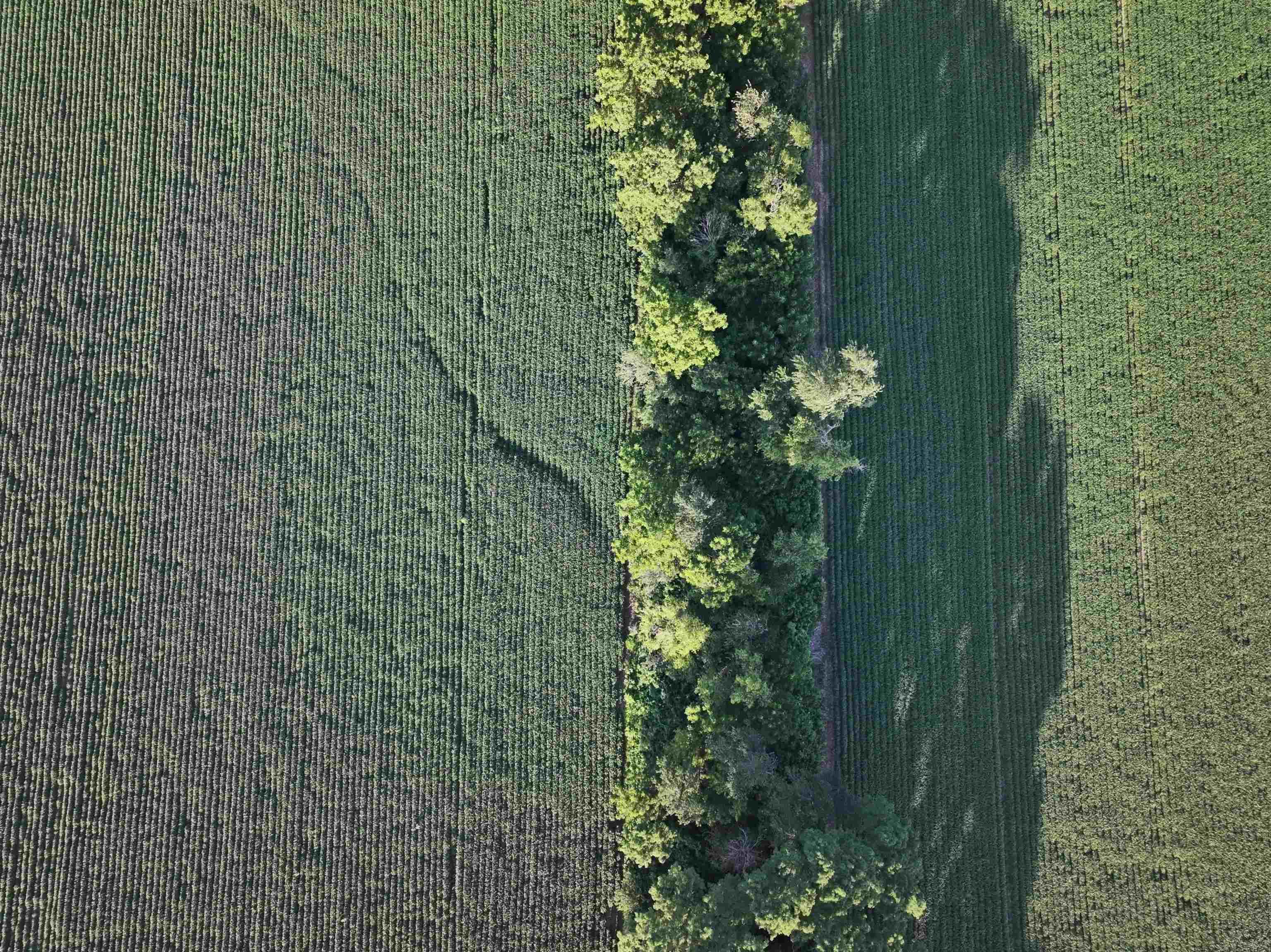 92.14 M/l Acres Highway Mount Horeb, WI 53572 - Photo 5 of 12