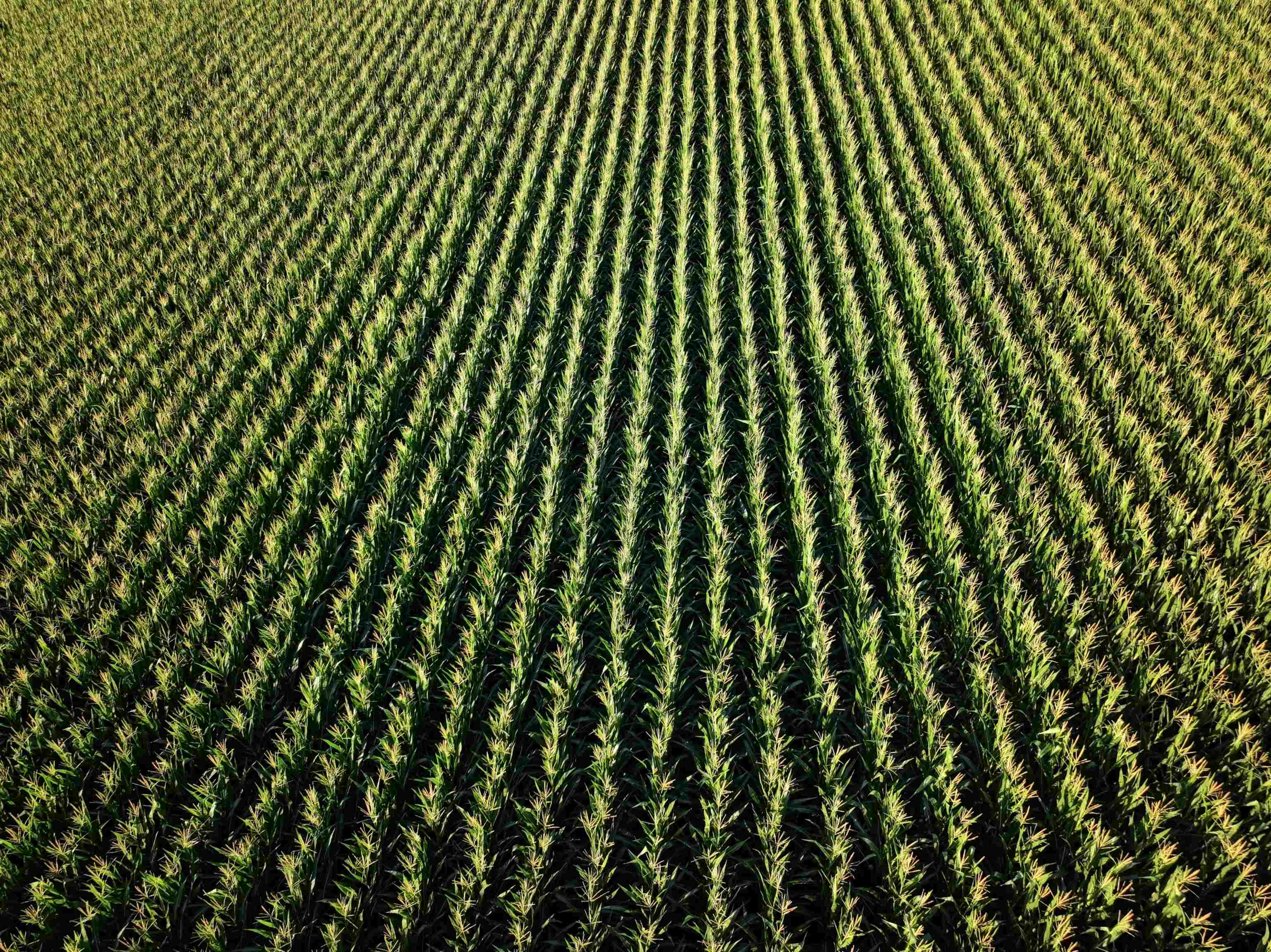 92.14 M/l Acres Highway Mount Horeb, WI 53572 - Photo 7 of 12