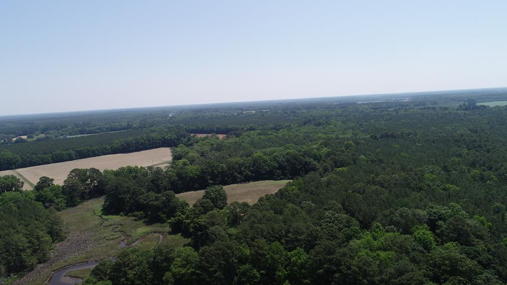 0 Cedar View Road Painter, VA 23420 - Photo 24 of 72