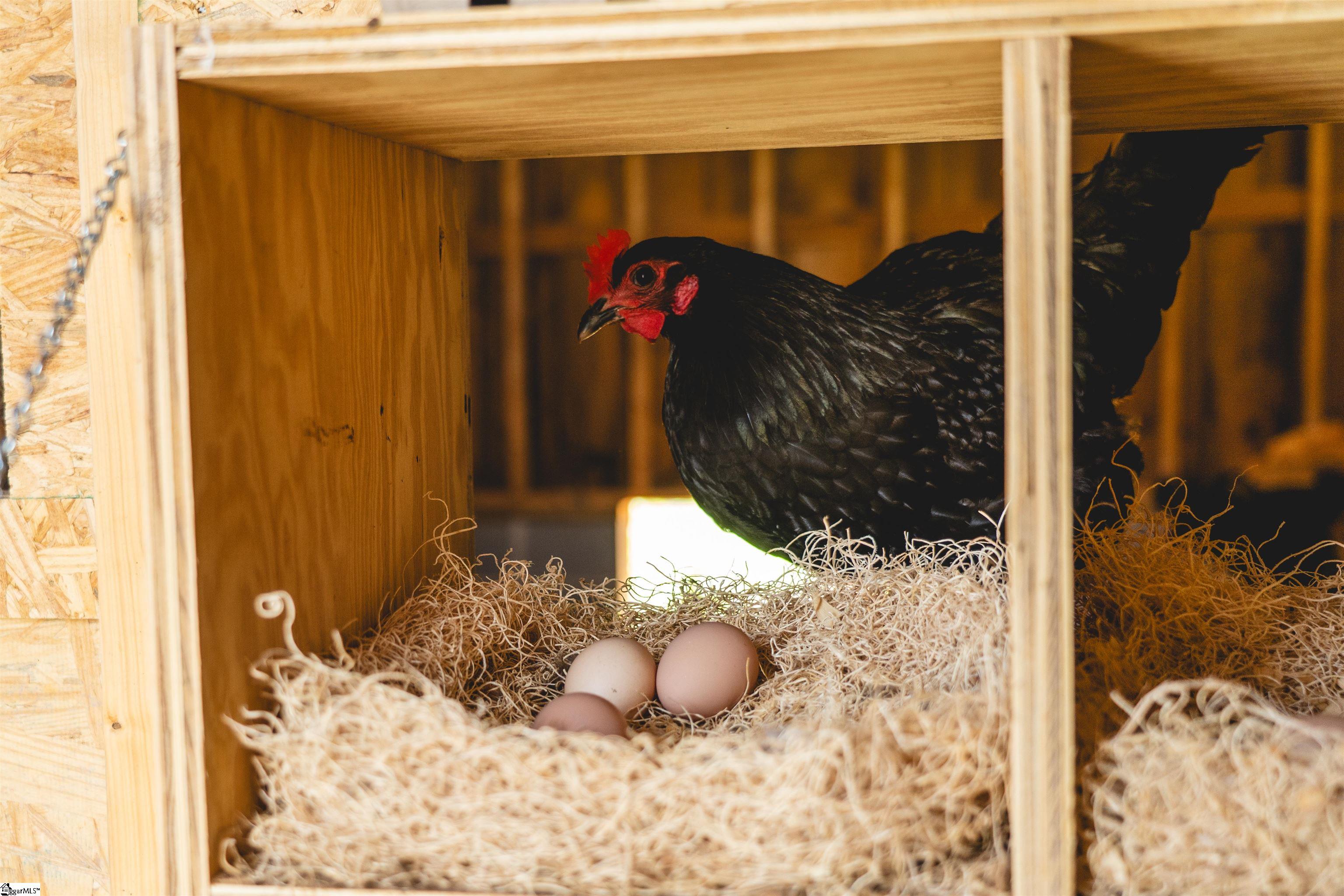403 Mountain Top Trail Easley, SC 29640 - Photo 47 of 50