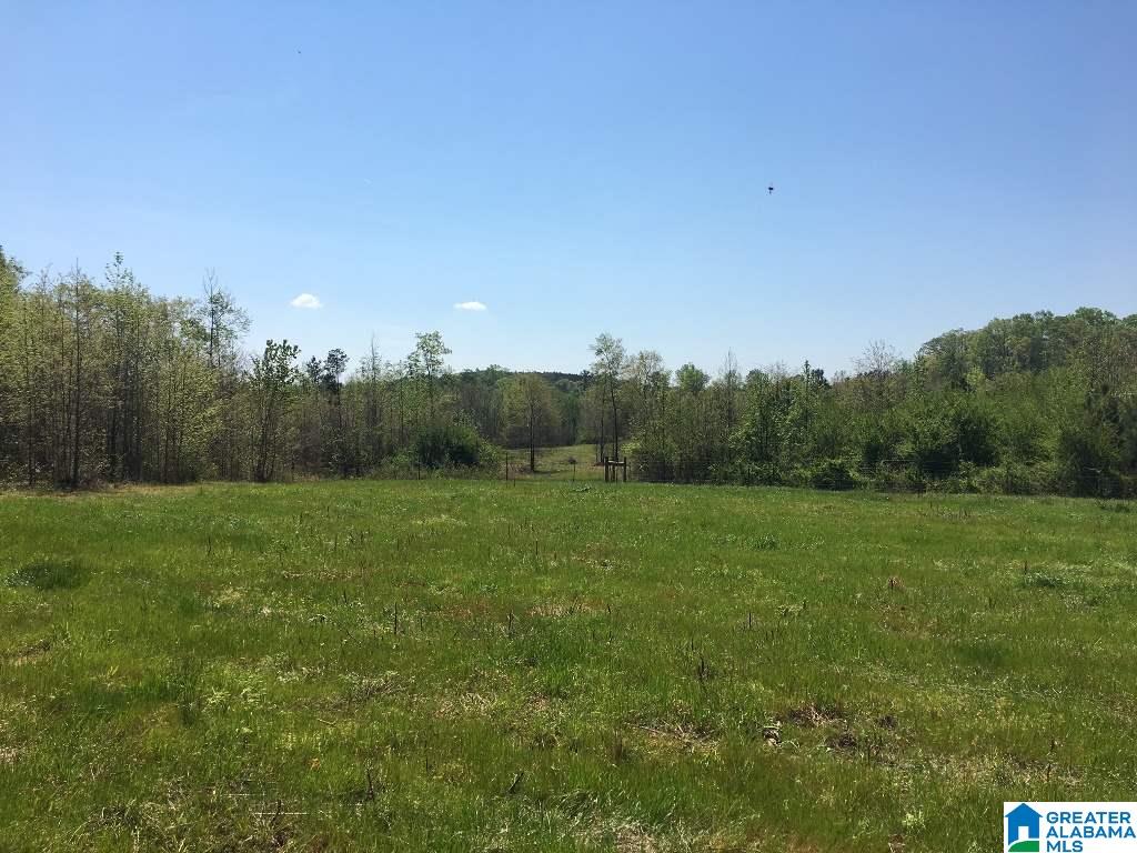East Mill Street, Unit 37 Lineville, AL 36266 - Photo 14 of 15
