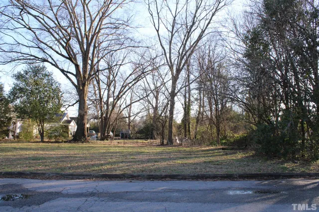 a street view with large trees