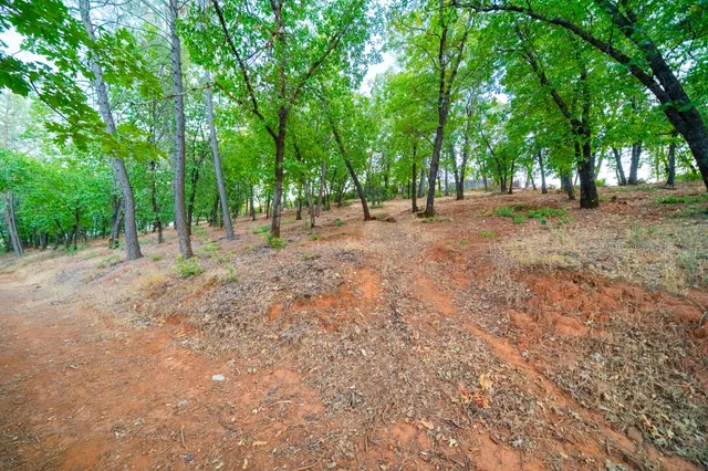 a view of outdoor space with trees
