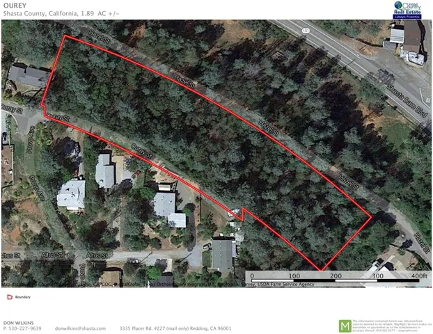 a black and white photo of a tree