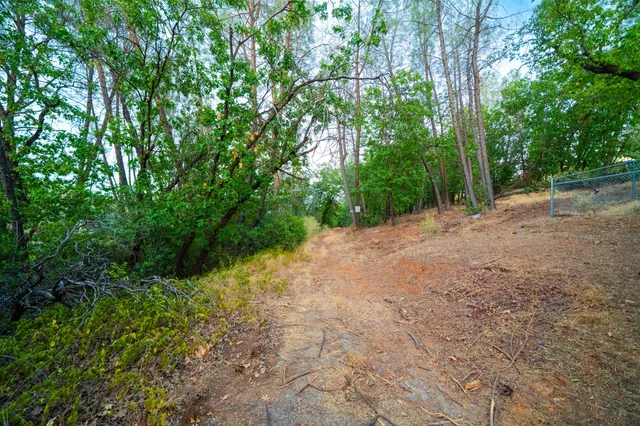 a view of a dirt road with trees in the background