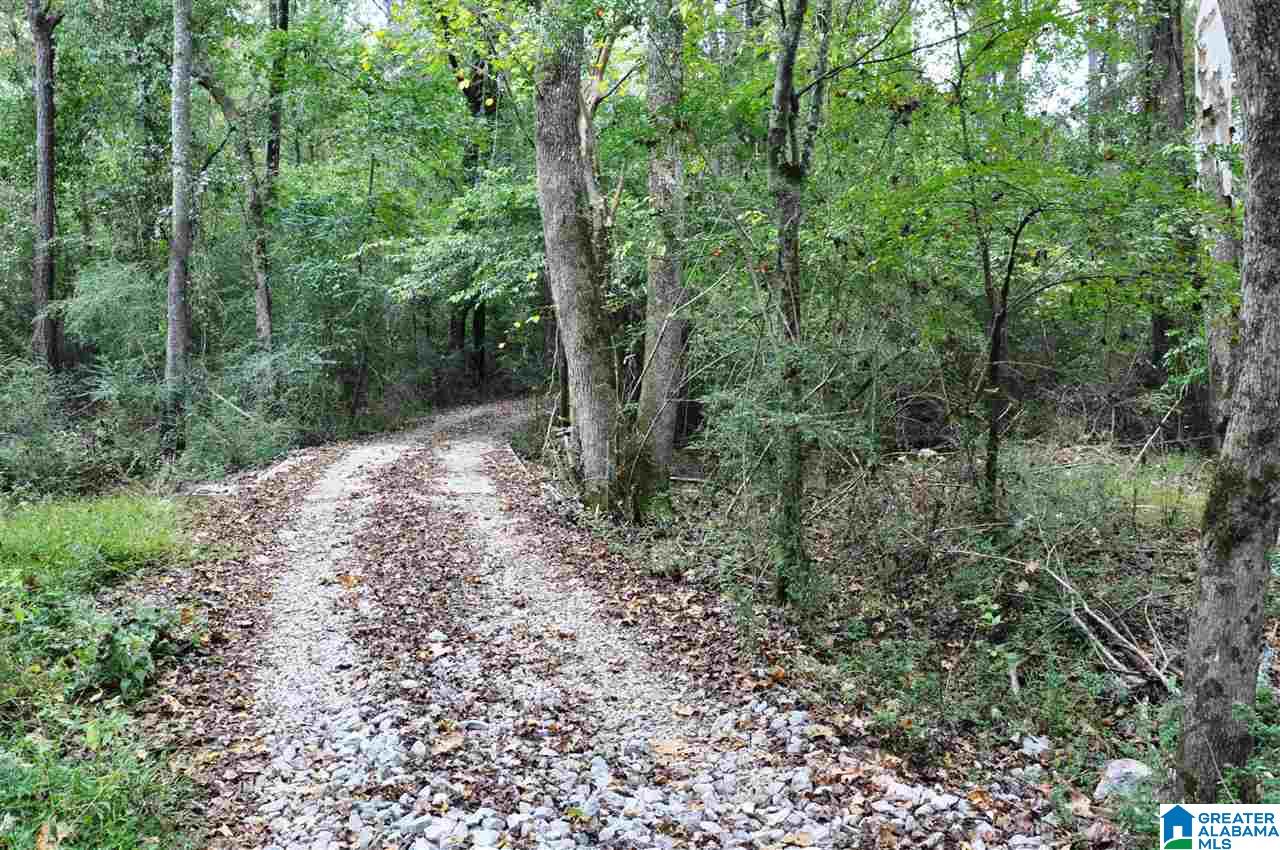6343 Cahaba Valley Road Birmingham, AL 35242 - Photo 1 of 6