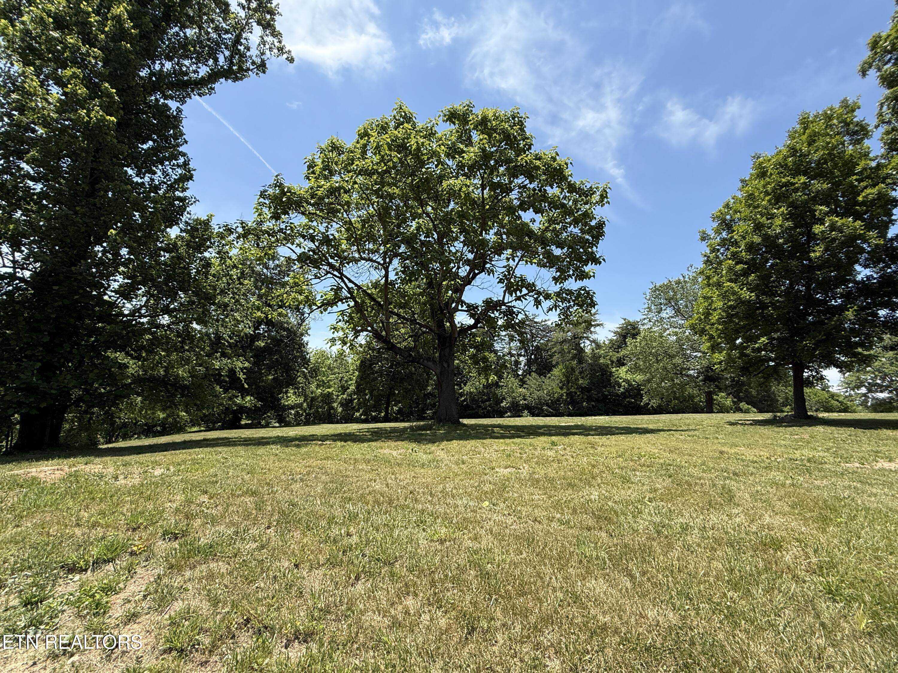 Richland Road Blaine, TN 37709 - Photo 24 of 25 IMG_5469