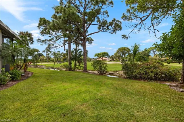 a view of a park with large trees