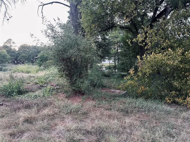 a view of a forest with lots of trees