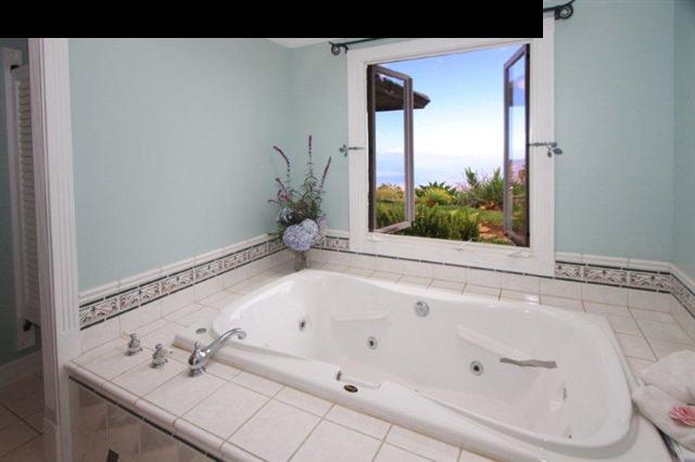333 Middle Road Kula, HI 96790 - Photo 17 of 25 a bathroom with a bathtub and a shower