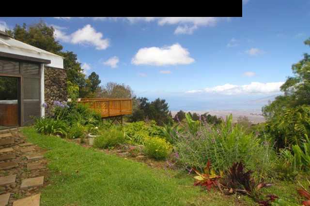 333 Middle Road Kula, HI 96790 - Photo 18 of 25 a view of a backyard