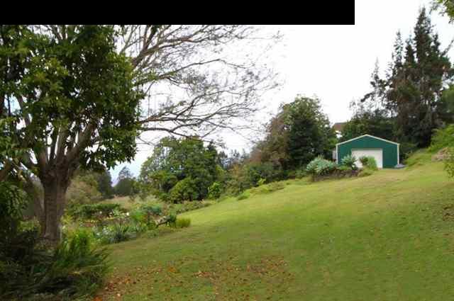 333 Middle Road Kula, HI 96790 - Photo 19 of 25 a view of a big yard with large trees