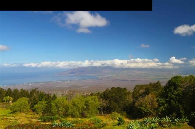 333 Middle Road Kula, HI 96790 - Photo 3 of 25
