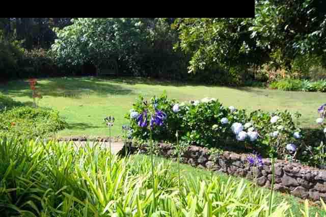 333 Middle Road Kula, HI 96790 - Photo 6 of 25 a view of a bunch of flowers in a garden