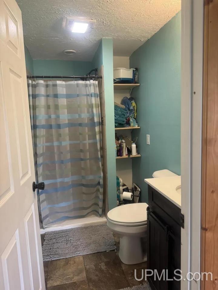 1210 River Road Germfask, MI 49836 - Photo 3 of 20 Gallery Image 3