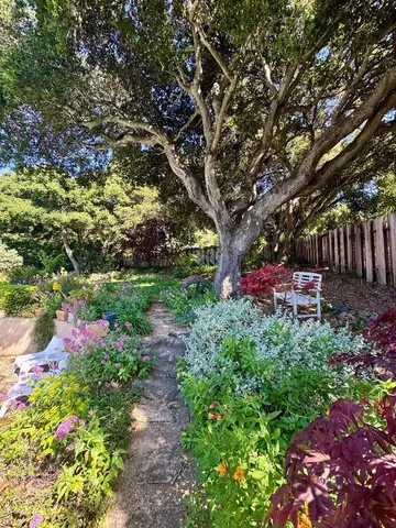 a garden view with a tree