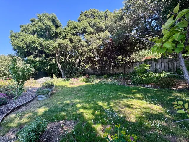 a view of backyard with green space