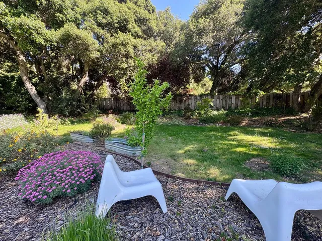 a view of a backyard with plants and a garden