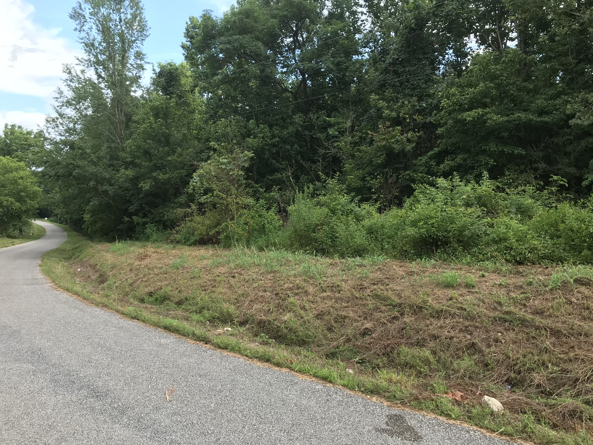 0 Southpoint Ridge Road Hampshire, TN 38461 - Photo 2 of 6 Gallery Image 2