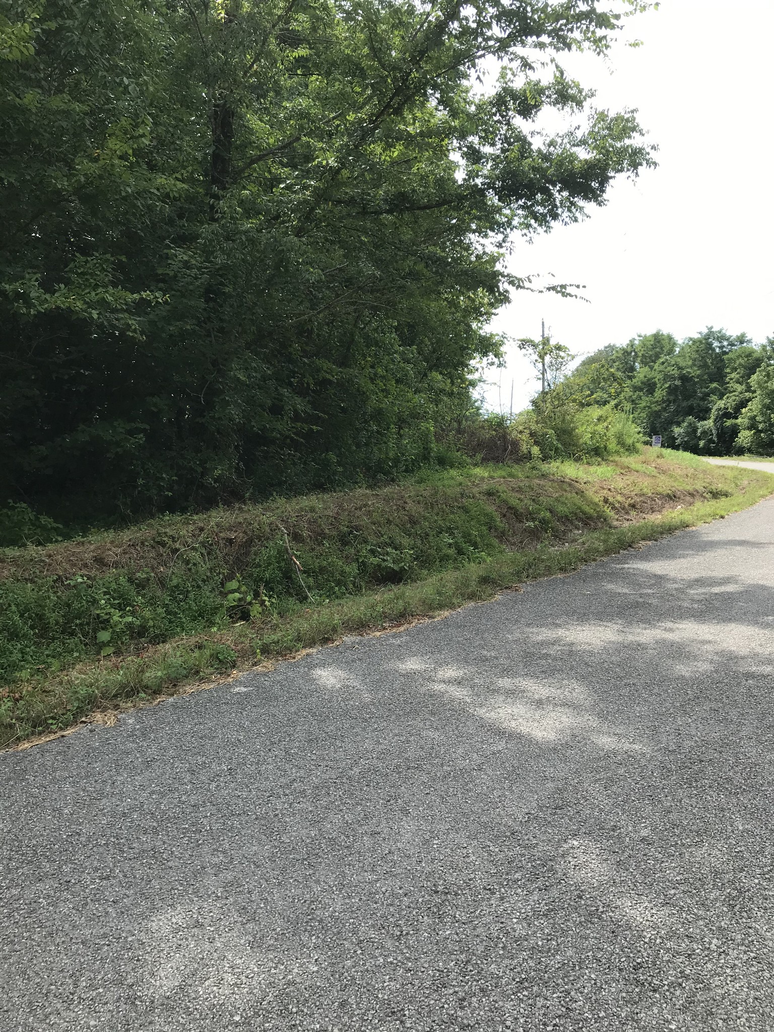0 Southpoint Ridge Road Hampshire, TN 38461 - Photo 3 of 6 Gallery Image 3