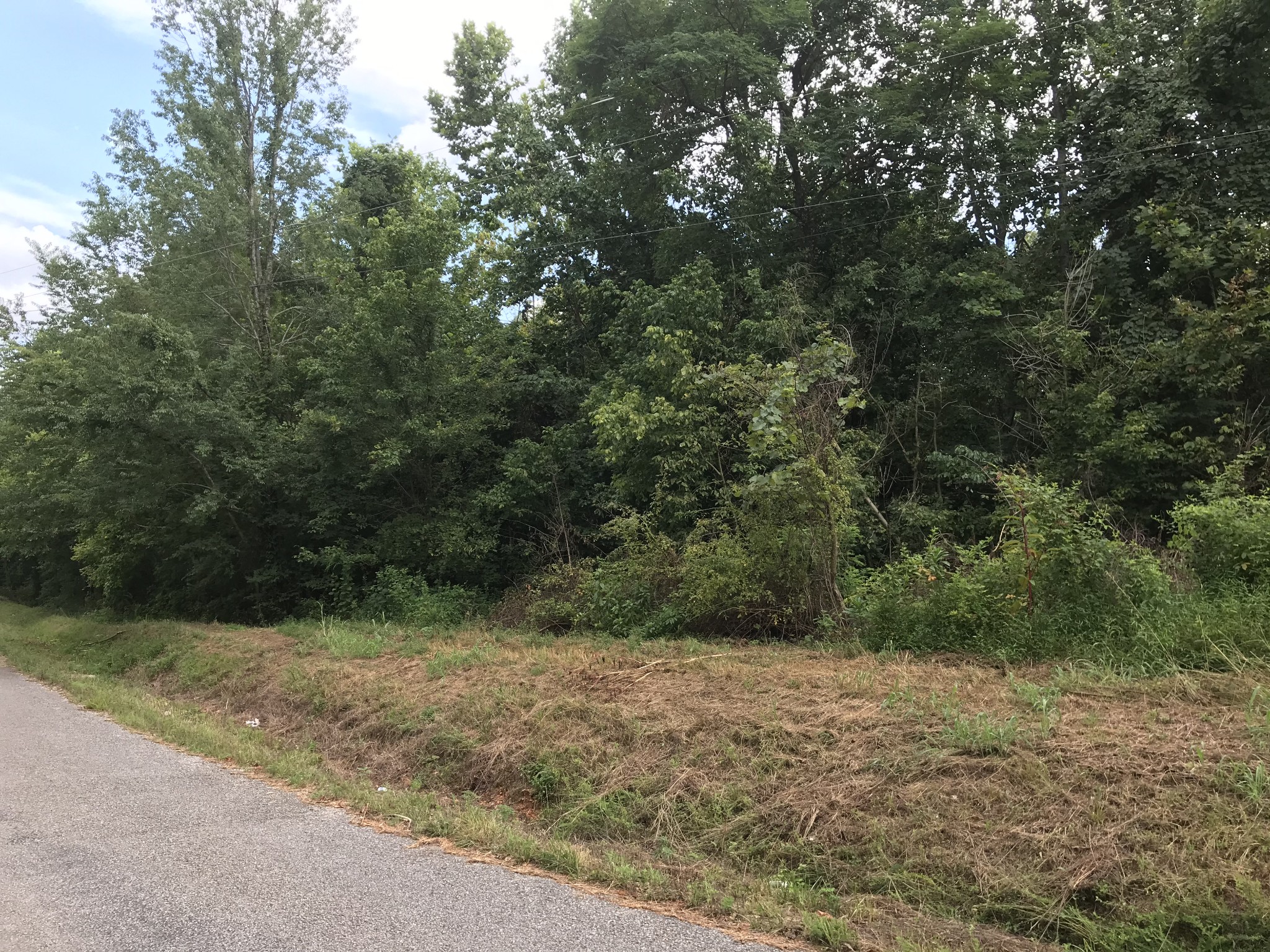 0 Southpoint Ridge Road Hampshire, TN 38461 - Photo 4 of 6 Gallery Image 4