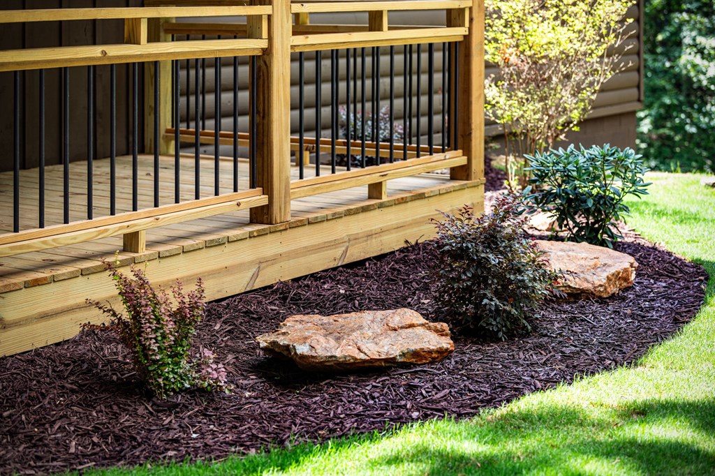 570 Cabin Trail Blue Ridge, GA 30513 - Photo 15 of 53 a view of a backyard with plants