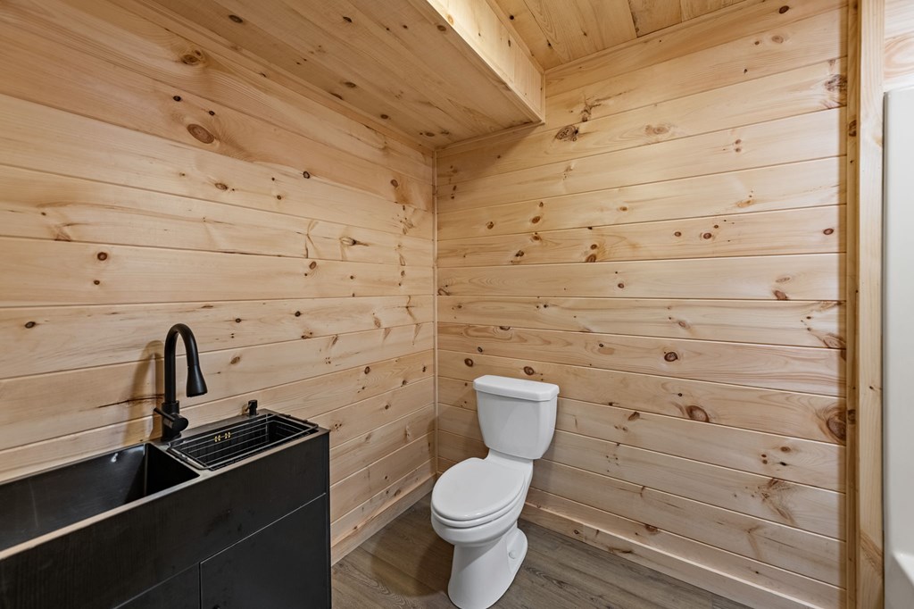 570 Cabin Trail Blue Ridge, GA 30513 - Photo 49 of 53 a bathroom with a toilet and a sink