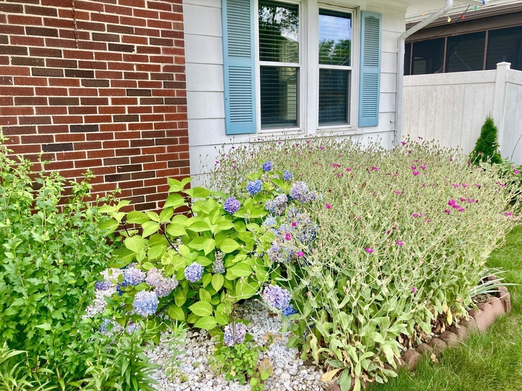 19 Eton Street Springfield, MA 01108 - Photo 2 of 39