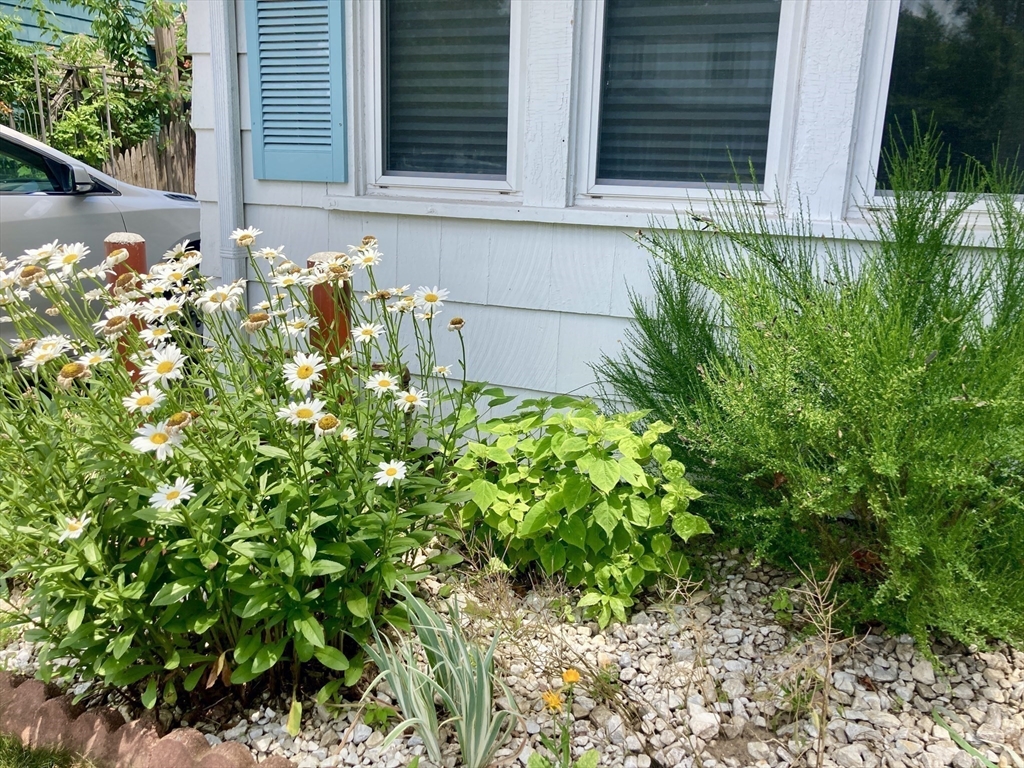 19 Eton Street Springfield, MA 01108 - Photo 3 of 39