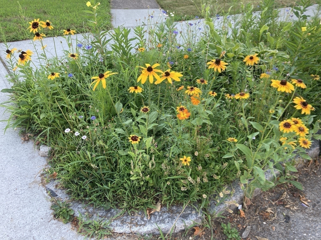 19 Eton Street Springfield, MA 01108 - Photo 38 of 39