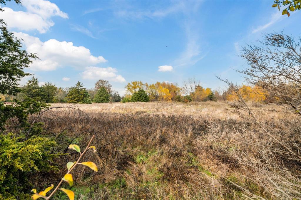 3600 East Fm 1396 Ivanhoe, TX 75447 - Photo 11 of 37 a view of a yard