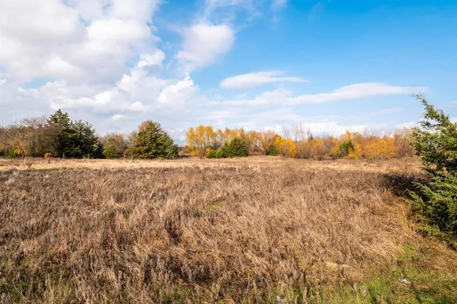 a view of a yard with swimming pool