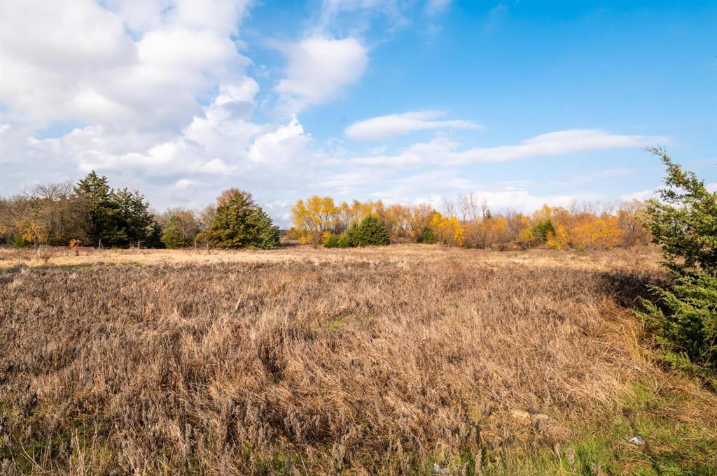 3600 East Fm 1396 Ivanhoe, TX 75447 - Photo 15 of 37 a view of an outdoor space and a yard