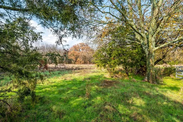 a view of outdoor space and yard