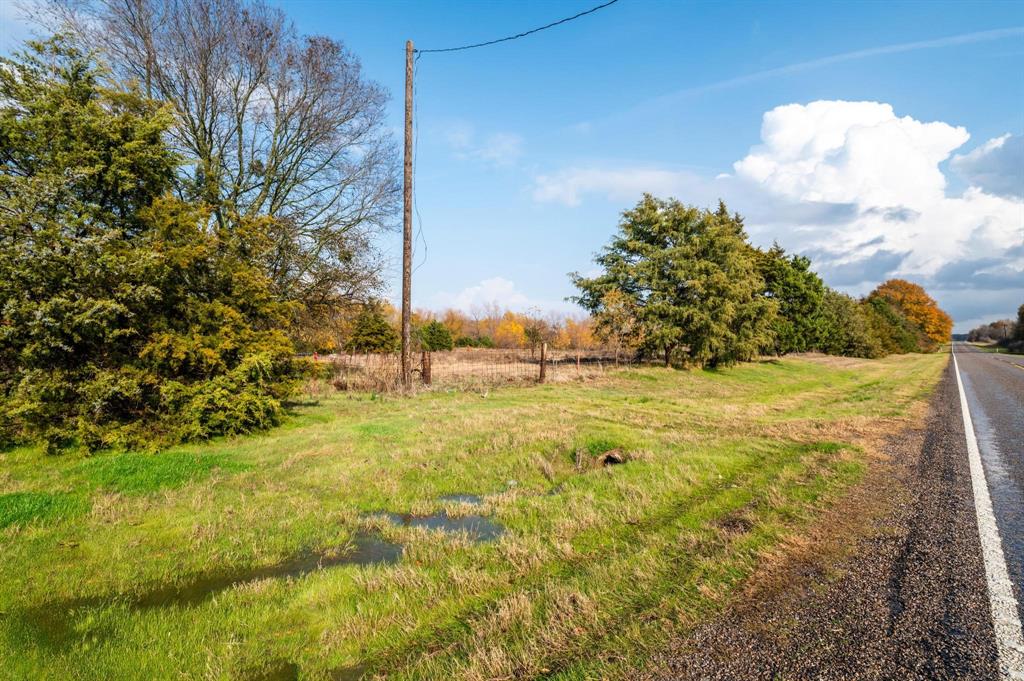 3600 East Fm 1396 Ivanhoe, TX 75447 - Photo 7 of 37 a view of yard with green space