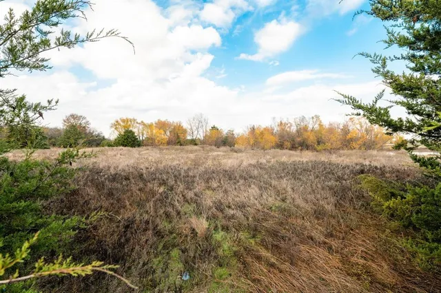a view of a field of grass and trees