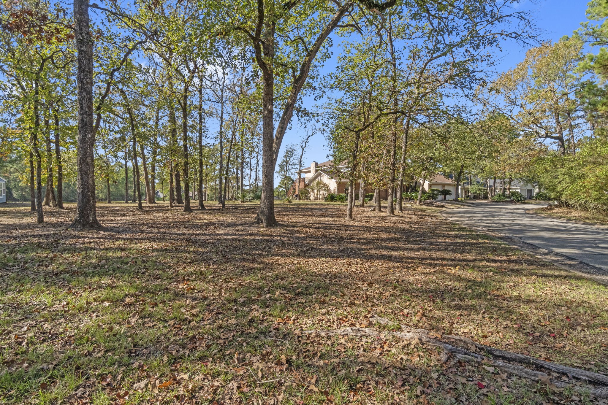 22405 Augusta Lane Point Blank, TX 77364 - Photo 43 of 50 a front view of a house with a yard