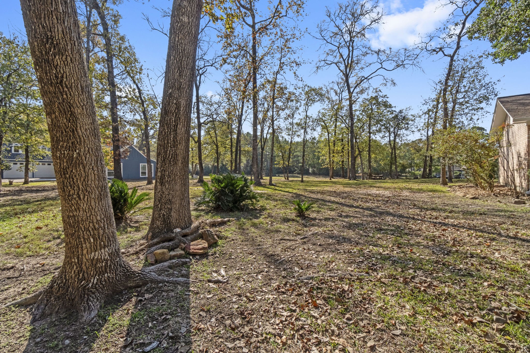22405 Augusta Lane Point Blank, TX 77364 - Photo 44 of 50 a backyard of a house with lots of green space