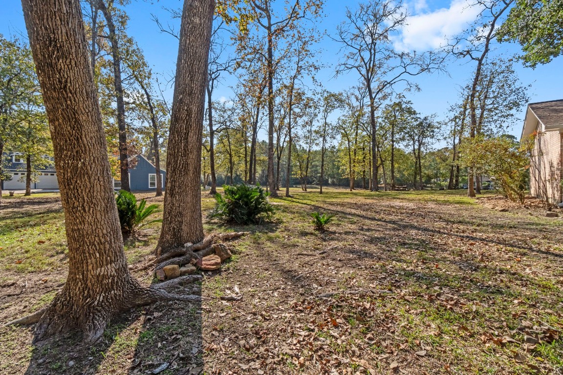 22405 Augusta Lane Point Blank, TX 77364 - Photo 44 of 50 a backyard of a house with lots of green space