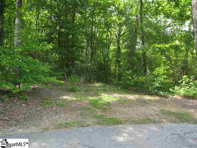 Lot 85 Pinnacle Rock Road Landrum, SC 29356 - Photo 1 of 1