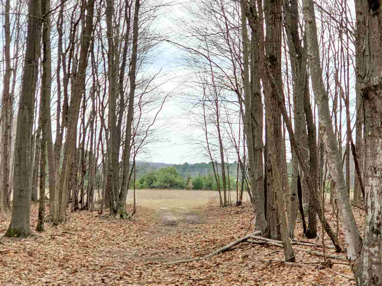 12262 Kerry Road Brethren, MI 49619 - Photo 79 of 95 1885414-78.JPG