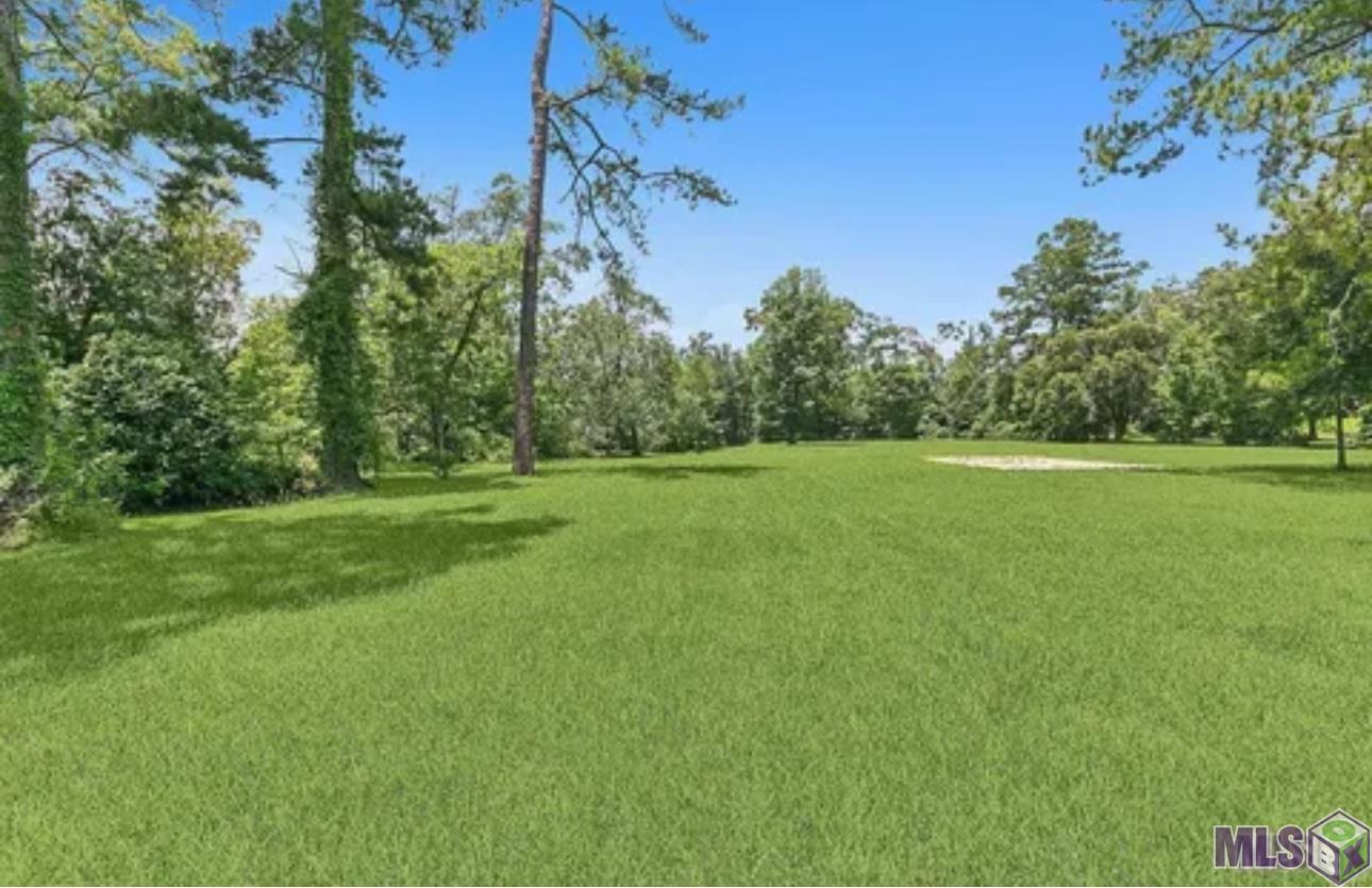 7425 Comite Drive Baker, LA 70714 - Photo 4 of 4